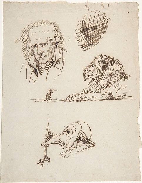 Sheet of Studies:  Three Male Heads, a Lion and a Mouse