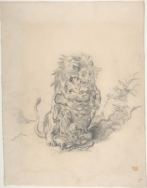 A Lion and a Tiger, Fighting
