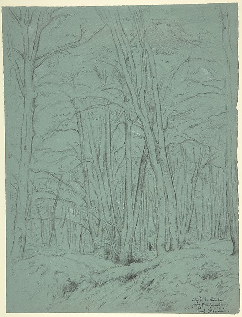 Forest View Near Fontainebleau