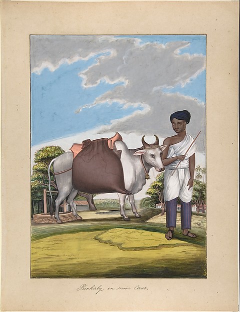 Puckaly in Moor Cast, from Indian Trades and Castes