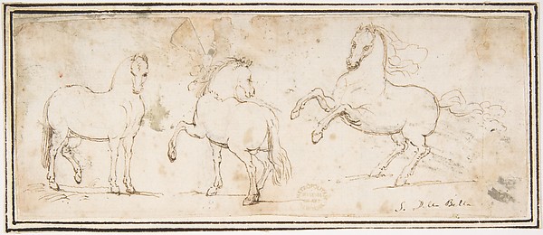 Horses