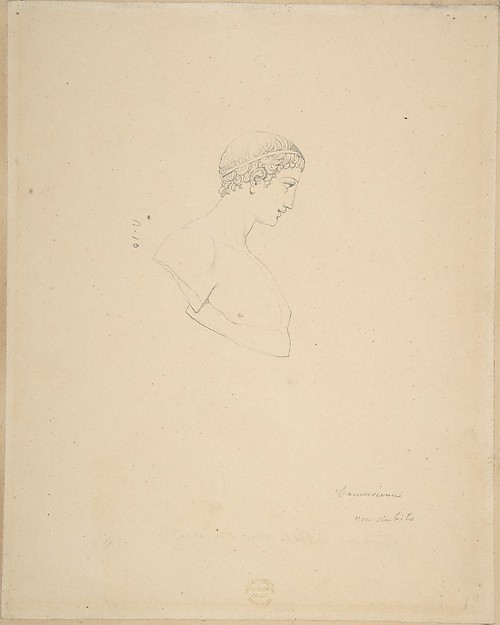 Classical Male Bust in Profile