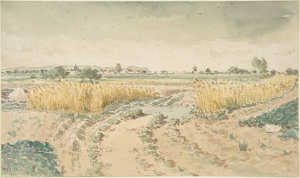 Wheatfields