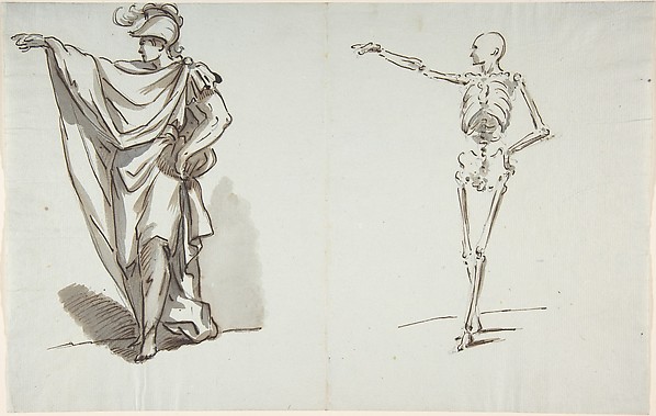 Anatomical drawing
