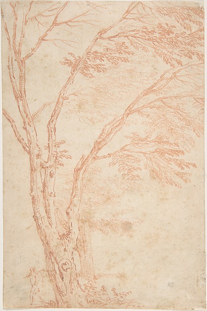A tree and figure