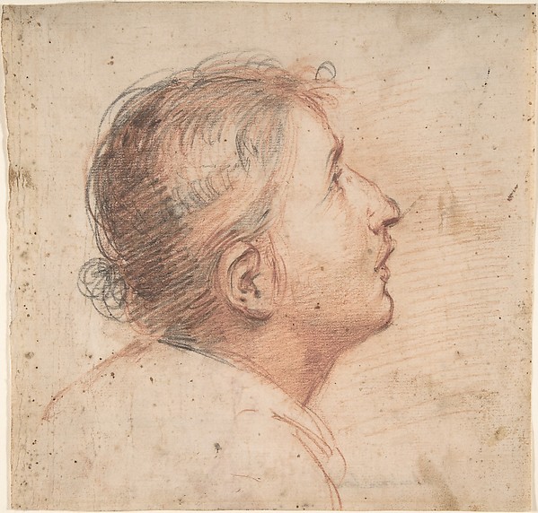 Youth Gazing Upwards in Profile