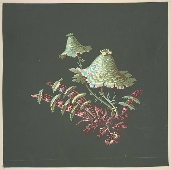 Two Hat-Shaped Chinoiserie Flowers with Fanciful Leaves
