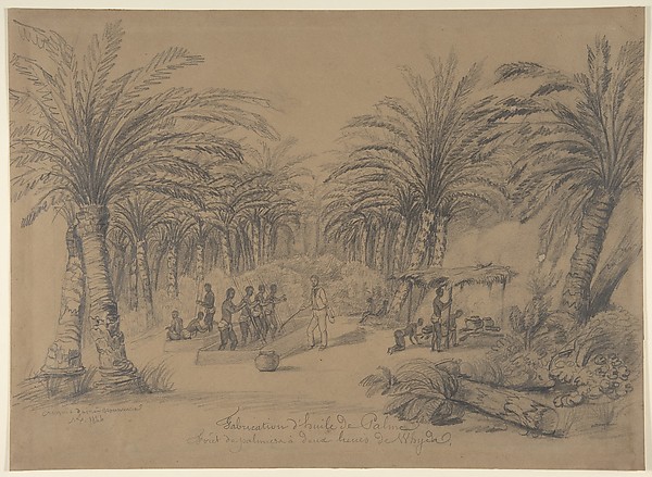 The Production of Palm Oil