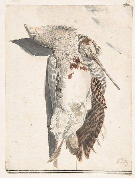 Two Dead Birds (A Quail and a Long-Beaked Bird) by Count Giorgio Durante (Duranti)