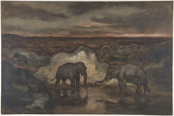 Elephants by a Pool