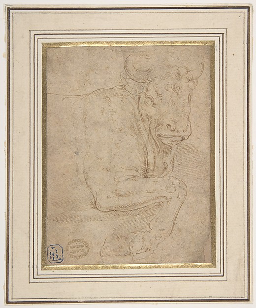 Head and Front Quarters of a Bull