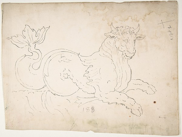 Marine bull, detail (recto) blank (verso)