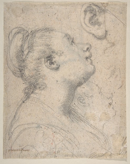 The Head and Shoulders of a Woman in Profile; Separate Studies of Her Head and Ear (recto); Fragment of Drapery Study, Profile of Architectural Molding (verso).