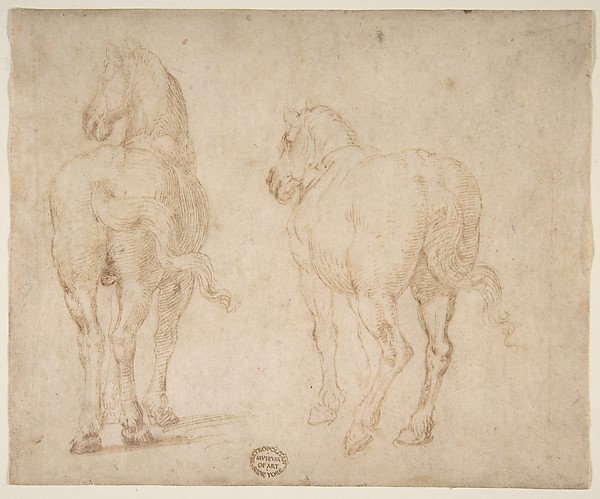 Horses