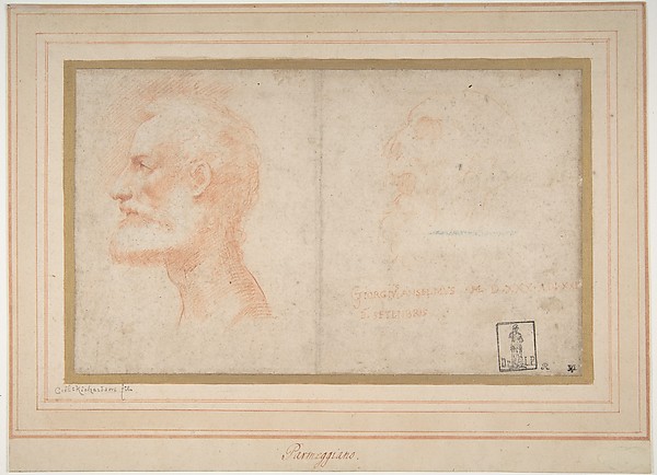 Head of a Bearded Man in Profile to Left, possibly the Portrait of the Poet Giorgio Anselmi (ca. 1459-1528), with Faint Sketch of a Skull-like Head