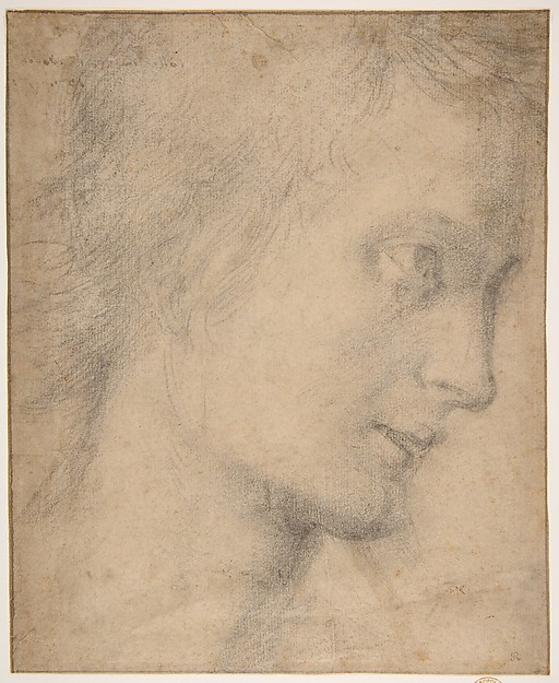 Head of a Youth in Profile (recto); Study of a Seated Figure (verso)