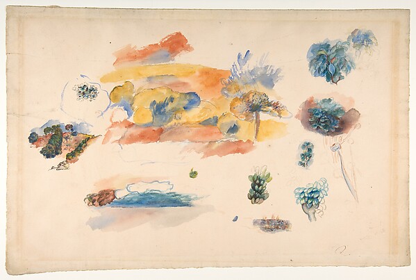Studies of Landscape, Trees, and Exotic Fruit