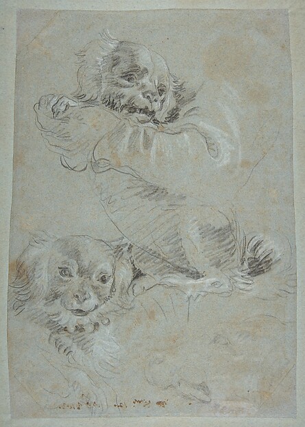 Three Dogs