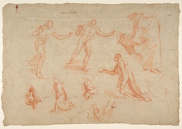 Figure and Drapery studies (recto); Three Studies of a Male Torso for the "Coronation of Marcantonio Pasqualini'" (verso)