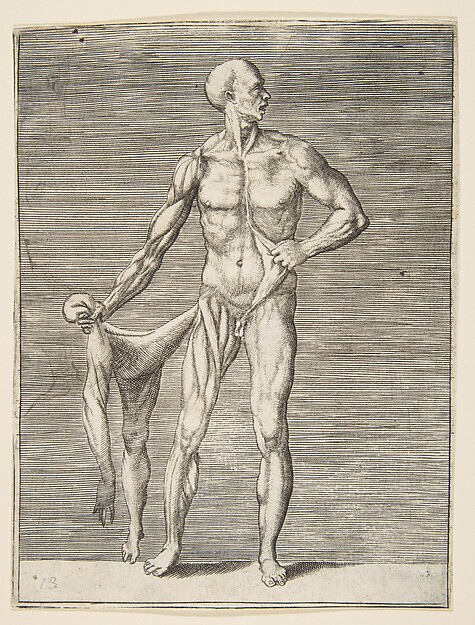 Man seen from the Front, holding the Skin of his right Arm and Leg in his right Hand