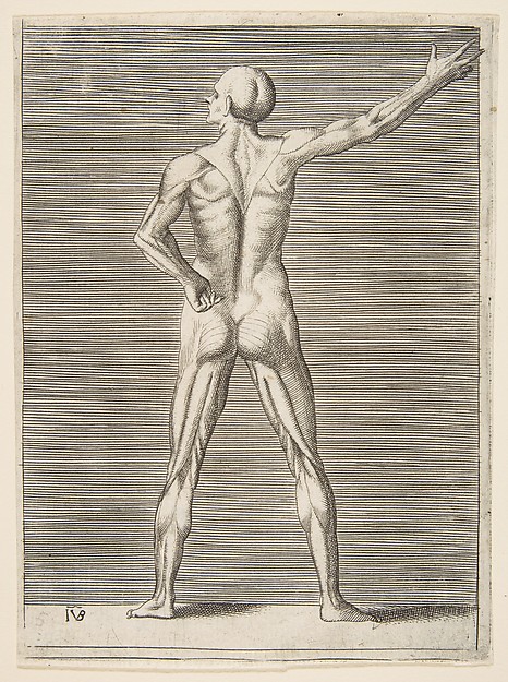 Flayed man seen from the back, his right arm extended
