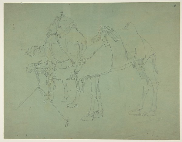 Two Camels