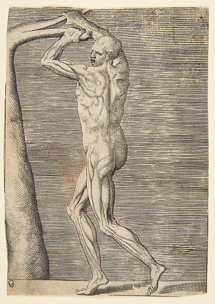 Flayed man arms raised holding the branch of a tree