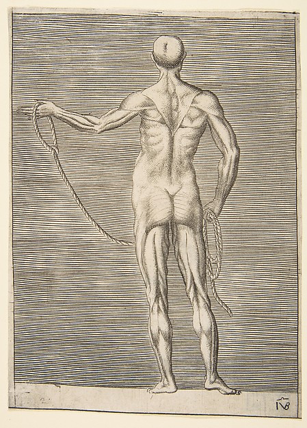 Flayed man seen from behind, holding a rope