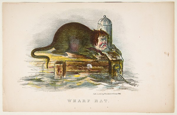 Wharf Rat, from The Comic Natural History of the Human Race