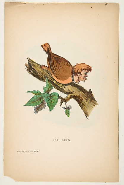 Jail Bird, from The Comic Natural History of the Human Race