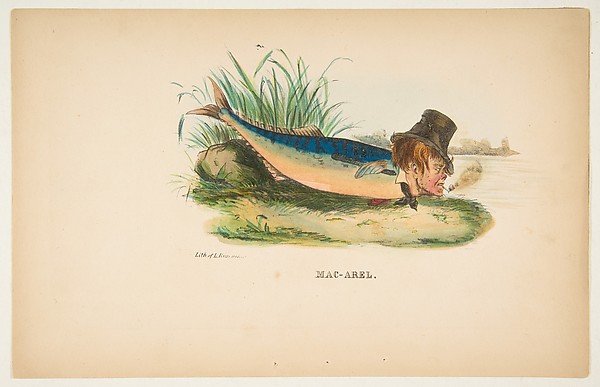 Mac-Arel, from The Comic Natural History of the Human Race