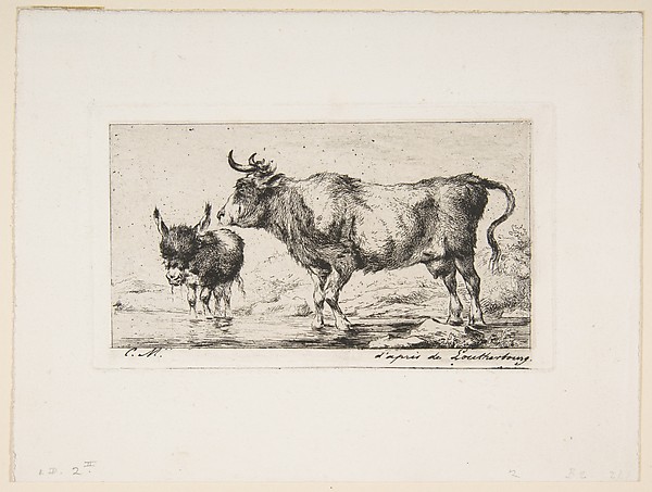 Cow and Ass