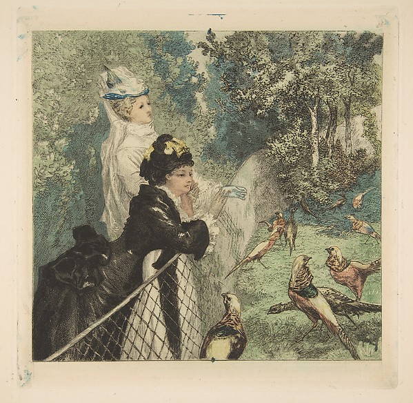 In the Zoological Garden