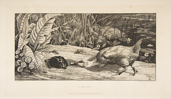L'Inconnu