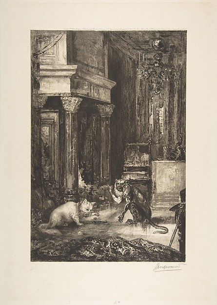 Le Singe et le chat