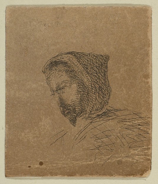 Hooded Male Head (from Sketches on the Coast Survey Plate)