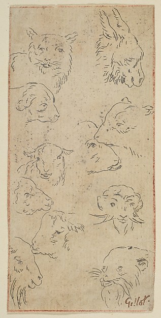 Study of animal heads