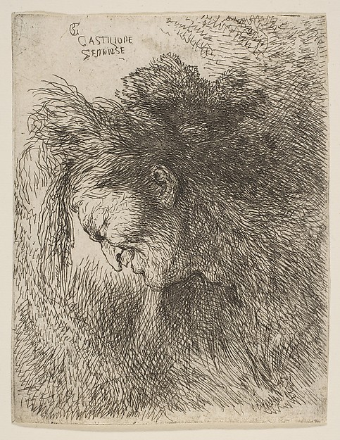Head of an old man looking down, facing left, from "Small Heads in Oriental Headdress"