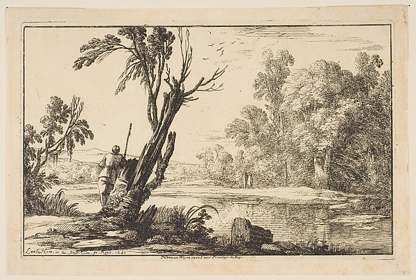 Man Seen From Behind