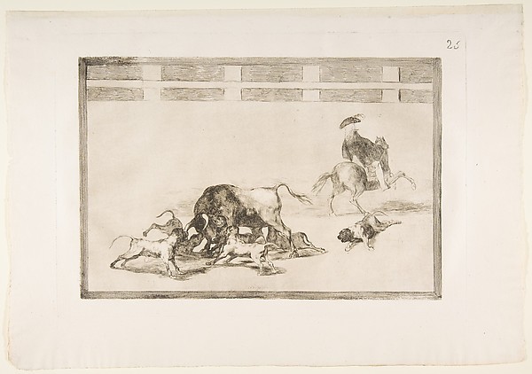 Plate 25 from "La Tauromaquia": They loose dogs on the bull