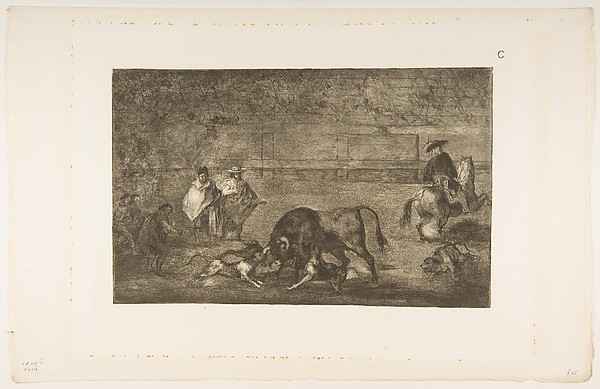 Plate C: The dogs let loose on the bull, from "Tauromaquia"