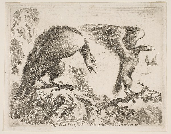 Eagle and eaglet, plate 2 from "Various Animals" (Diversi Animali)