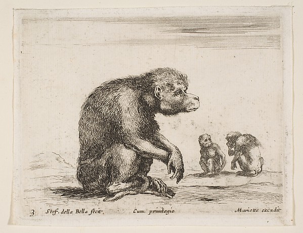 Seated monkey, plate 3 from "Various Animals" (Diversi Animali)