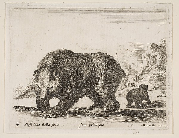 Bear, plate 4 from "Various Animals" (Diversi Animali)