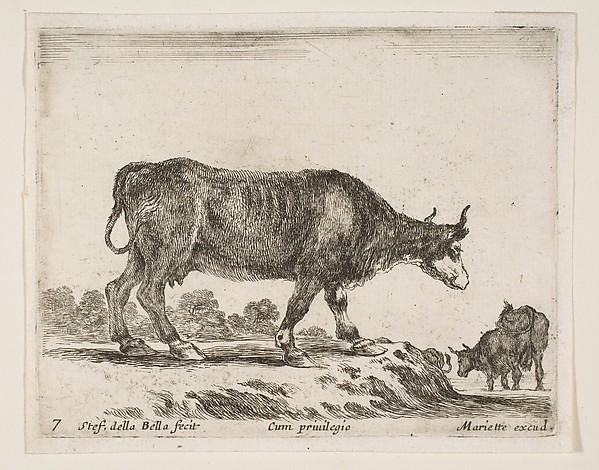 Ox, plate 7 from "Various Animals" (Diversi Animali)