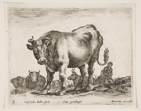 Cow, plate 8 from "Various Animals" (Diversi Animali)