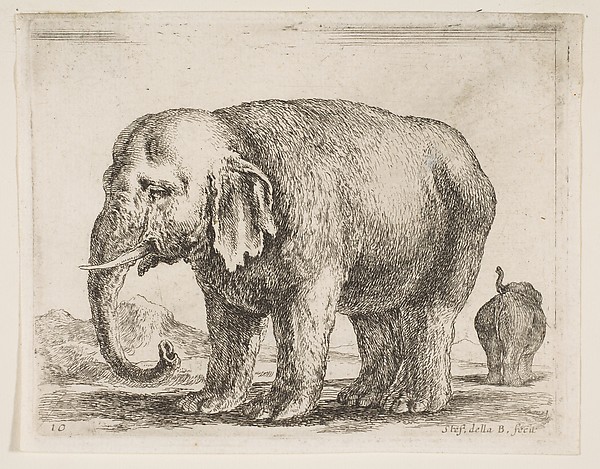 Elephant, plate 10 from "Various Animals" (Diversi Animali)