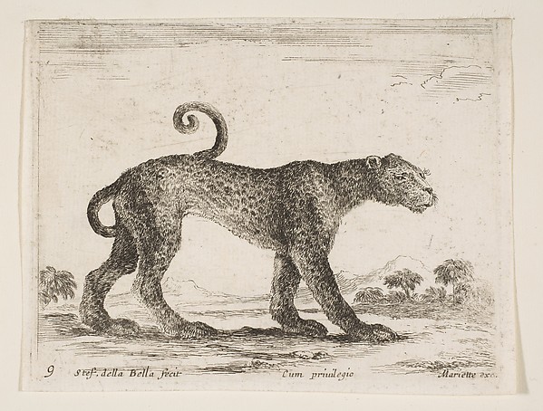 Leopard, plate 9 from "Various Animals" (Diversi Animali)