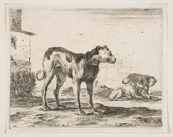 Dogs, plate 11 from "Various Animals" (Diversi Animali)