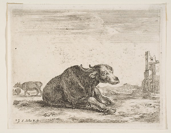 Buffalo lying down, plate 13 from "Various Animals" (Diversi Animali)